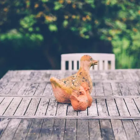 펜션 Fermette Les Ormes, 8 Personnes, Village *