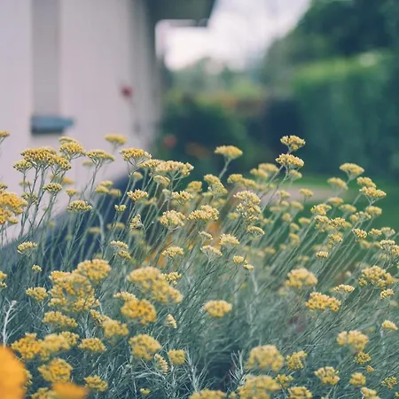 펜션 Fermette Les Ormes, 8 Personnes, Village