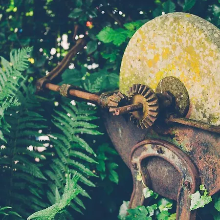 펜션 Fermette Les Ormes, 8 Personnes, Village 메를리몽